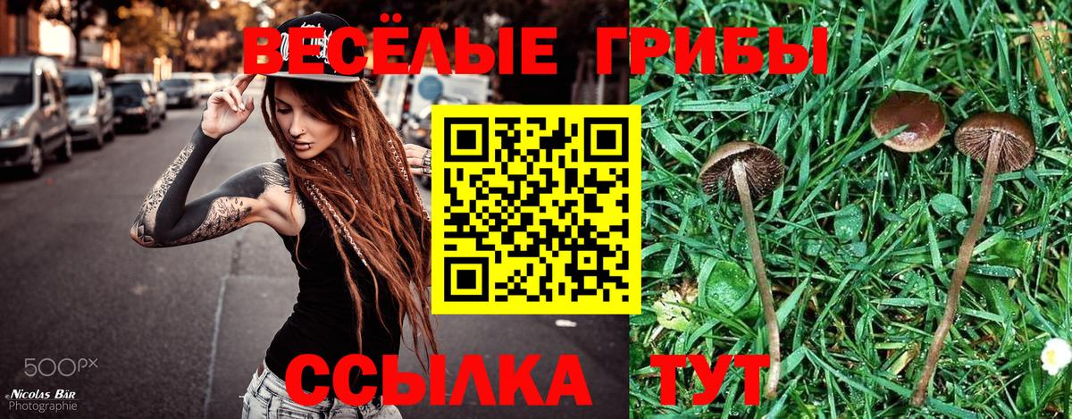 Чайковский  Галлюциногенные грибы мухоморы  Вход с VPN 
