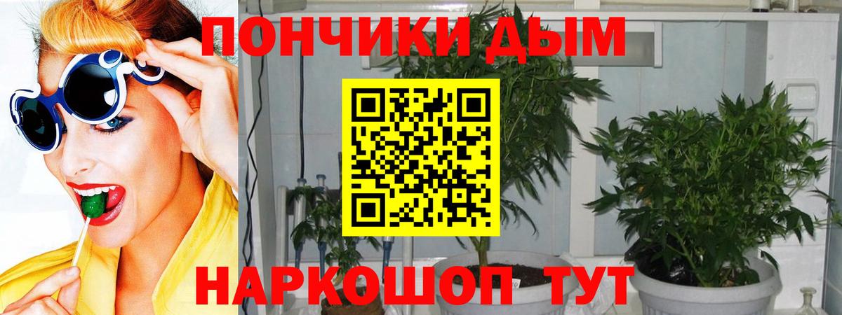 Бошки Шишки Bruce Banner  Вход с VPN  Конопля Ganja  Чайковский  Каннабис индика  Каннабис VHQ 